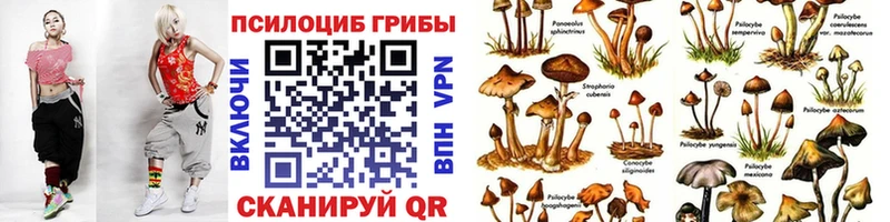 Псилоцибиновые грибы Magic Shrooms  MEGA сайт  Павловск  дарнет шоп 